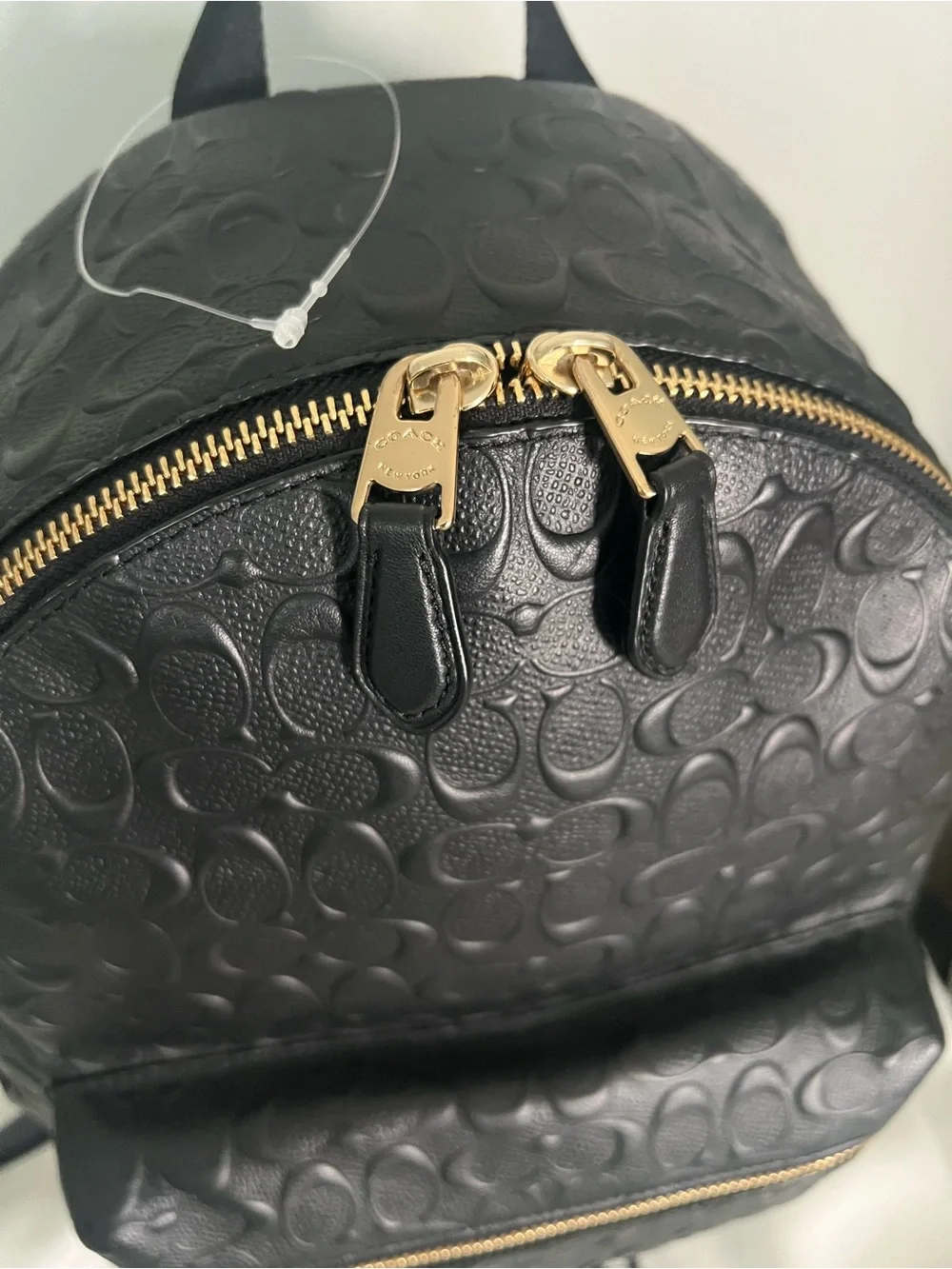 Coach Medium Charlie Backpack In Signature Leather